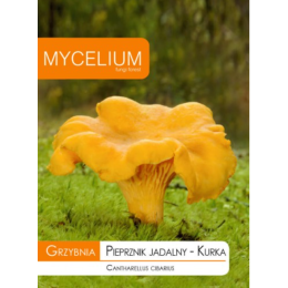 Kukeseen (Cantharellus Cibarius)